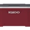 IGLOO Latitude 52QT Cool Box Red 1 IGLOO Latitude 52QT Cool Box Red -Outdoor Climbing Shop k0f2e951baeacf3928ea847c824c4b8f0