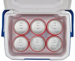 Coleman Performance 5QT Personal Cooler -Outdoor Climbing Shop k38d265bbd2c606ec2ceeb6e7ba28662f