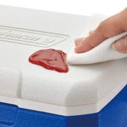 Coleman Performance 5QT Personal Cooler -Outdoor Climbing Shop k46f35c6c2c6dd2c6e9c46849a7f097f7