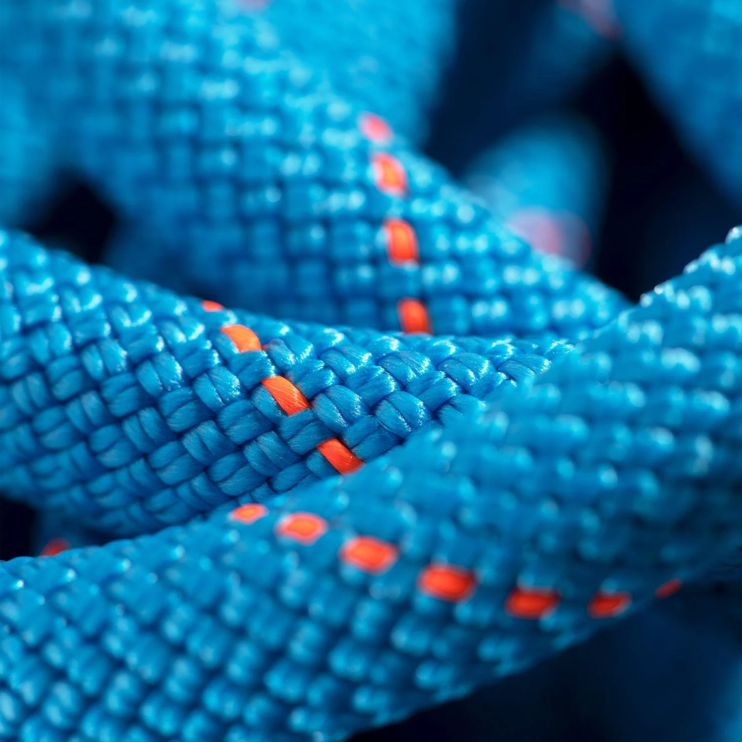 Mammut Gym Workhorse Dry Single Rope 9.9 Mm X 40m 4 Mammut Gym Workhorse Dry Single Rope 9.9 Mm X 40m - Image 2