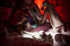 Ledlenser KidBEAM4 LED Hand Torch (Purple) -Outdoor Climbing Shop k59e29570618b7729d370bdca435a3048