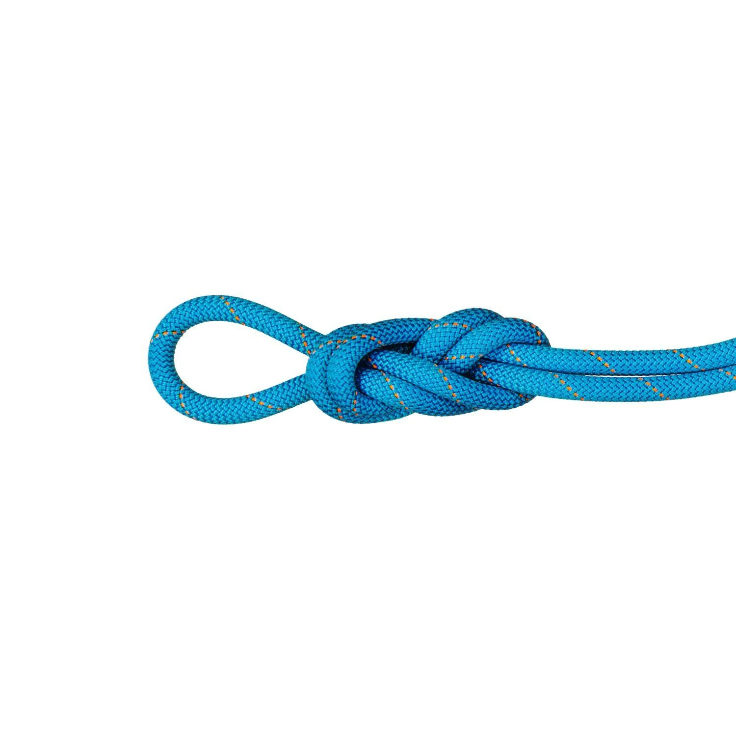 Mammut Gym Workhorse Dry Single Rope 9.9 Mm X 40m 3 Mammut Gym Workhorse Dry Single Rope 9.9 Mm X 40m