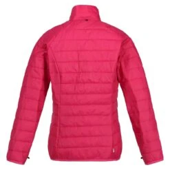 Regatta Womens/Ladies Wentwood VII 2 In 1 Waterproof Jacket (Violet/Amaranth Haze) -Outdoor Climbing Shop k9e4bc98d1b05bc96ce3bfb893523f736