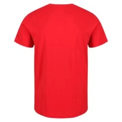 Regatta Cline VI Men's Walking Short Sleeve T-Shirt 10 Regatta Cline VI Men's Walking Short Sleeve T-Shirt -Outdoor Climbing Shop kbbaa3f379db99bfffade8a4f6a516bd9