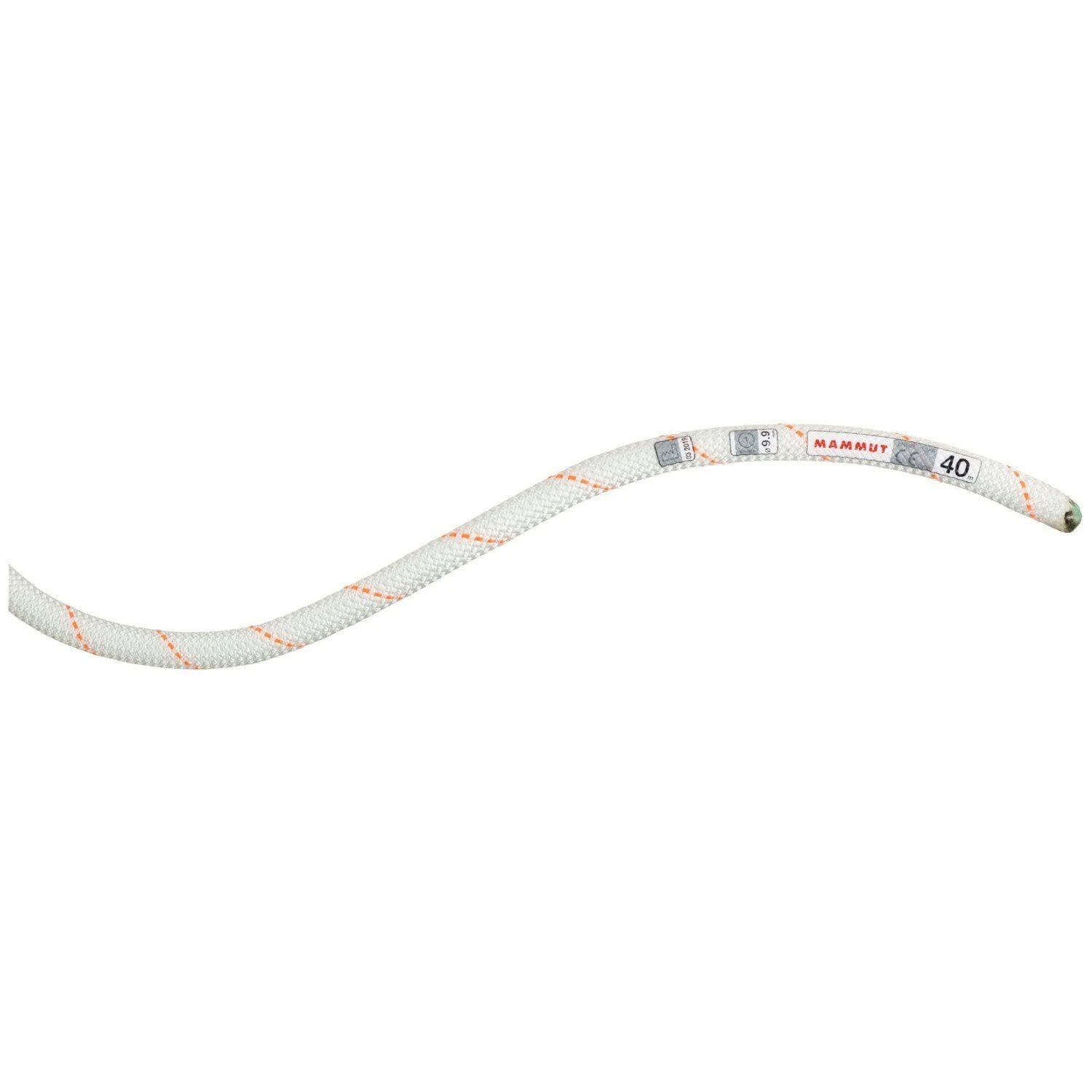 Mammut Gym Workhorse Dry Single Rope 9.9 Mm X 40m 7 Mammut Gym Workhorse Dry Single Rope 9.9 Mm X 40m - Image 5