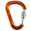 Petzl Attache Carabiner 1 Petzl Attache Carabiner -Outdoor Climbing Shop ke1ad71de67ab84333ce75a8c66d248b7