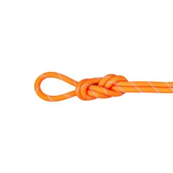 Mammut Alpine Dry Single Rope 9.5 Mm X 70m