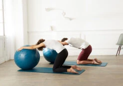 Size 2 / 65 Cm Durable Swiss Ball -Outdoor Climbing Shop k1d75ab85a7d34c612db38050b46d820a