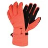 Dare 2b Womens/Ladies Acute Ski Gloves (Fiery Coral) -Outdoor Climbing Shop ka744c9c5484657ab286decc11d6f58d5