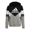 ADIDAS Colorblock Fleece Hoodie